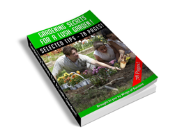 Gardening Secrets for a Lush Garden!
